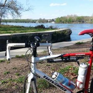 2019 Novara Strada Red and White