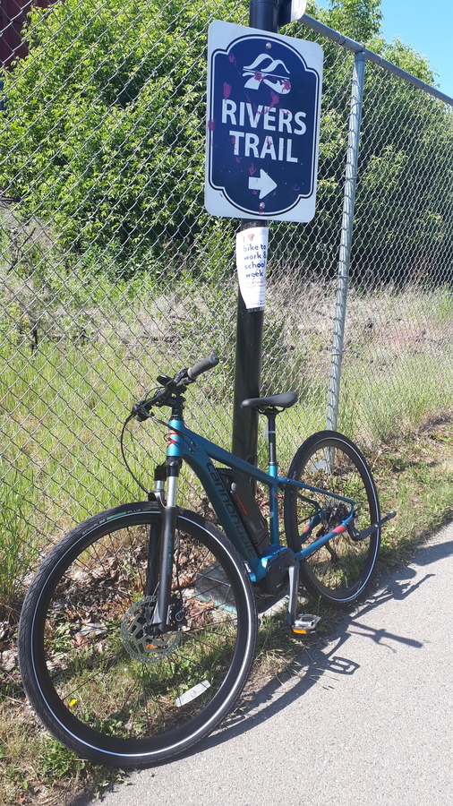 2019 cannondale quick neo