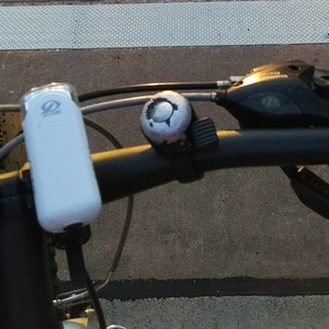 2007 Giant  Black and Silver or Gray