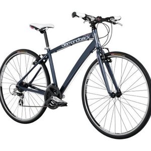 Diamondback Clarity 1  Silver or Gray