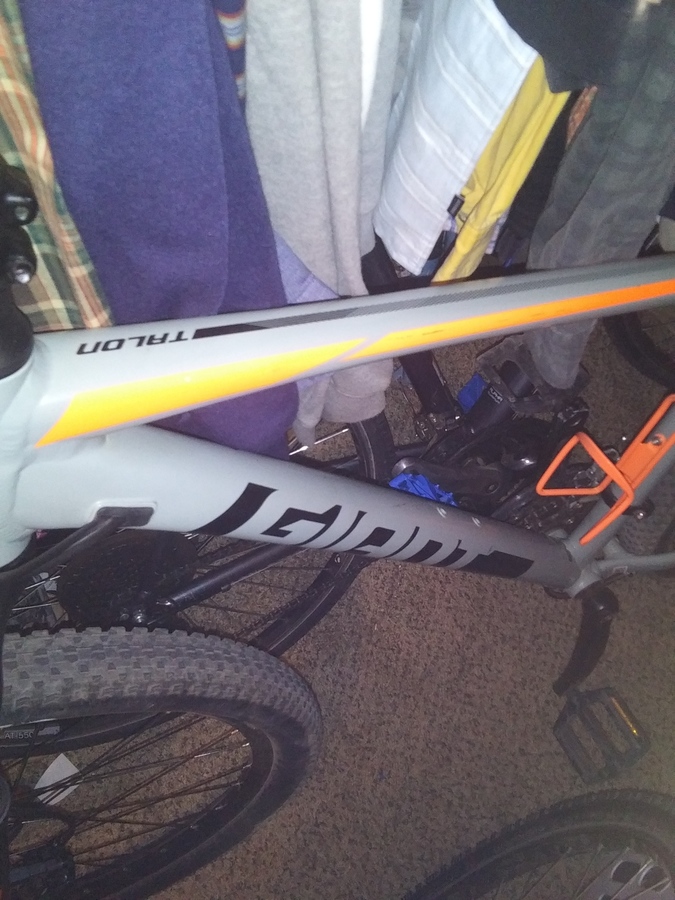 giant talon 3 2019 colors