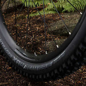 2019 Trek Fuel Ex 8 29 Black
