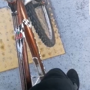 Schwinn Brown