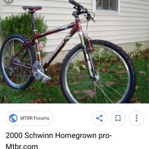 Schwinn Brown