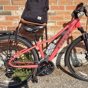 2018 Trek Pink