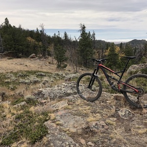 2017 YT Industries Jeffsy AL Comp 29 Black