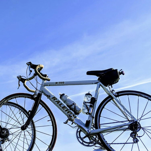 2019 Raleigh Raleigh White