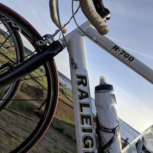 2019 Raleigh Raleigh White