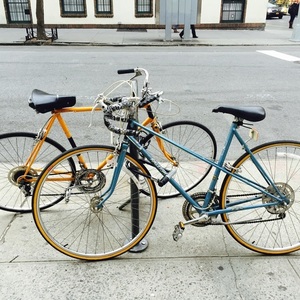 Raleigh Women's   Blue