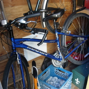 2008 Marin Bikes Larkspur  Blue