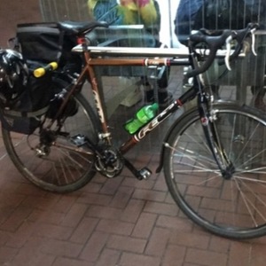 Felt F95cX Brown and Black