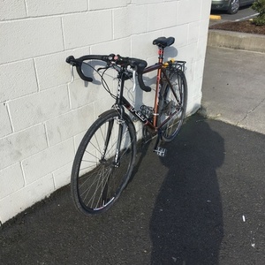 Felt F95cX Brown and Black