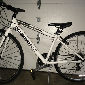Diamondback Insight 5m/1b  White