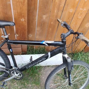 Norco Bikes Black
