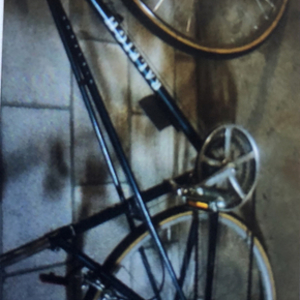 1984 Raleigh ladies Green