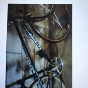 1984 Raleigh ladies Green