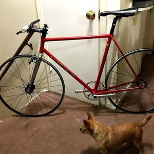 1980 Colnago Super Red