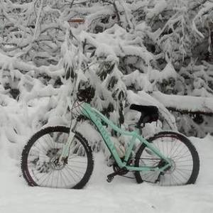2016 Ghost Lanao Teal and White