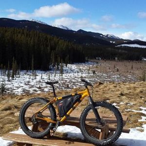 2015 Salsa Mukluk Yellow or Gold