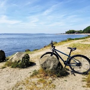 2019 REI CTY 1.1 Blue