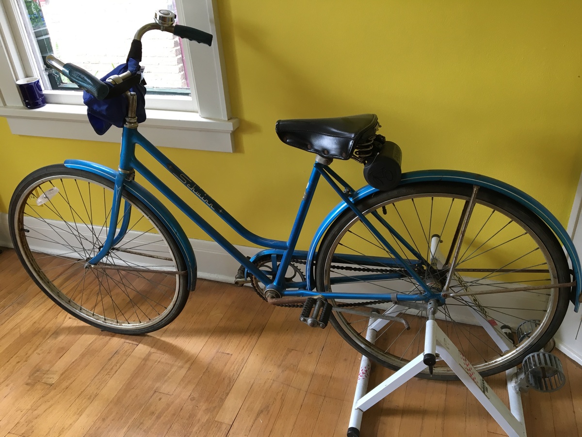 schwinn breeze