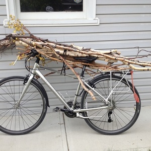 2012 Giant Escape 1 Silver, gray or bare metal
