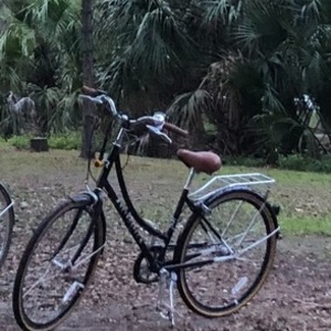 2019 Retrospec Venus Black