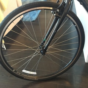 Trek Black