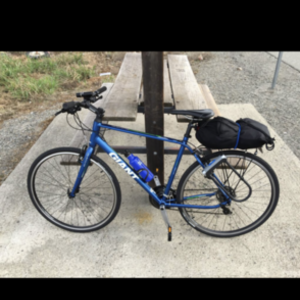 2015 Giant Blue
