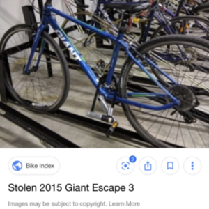 2015 Giant Blue