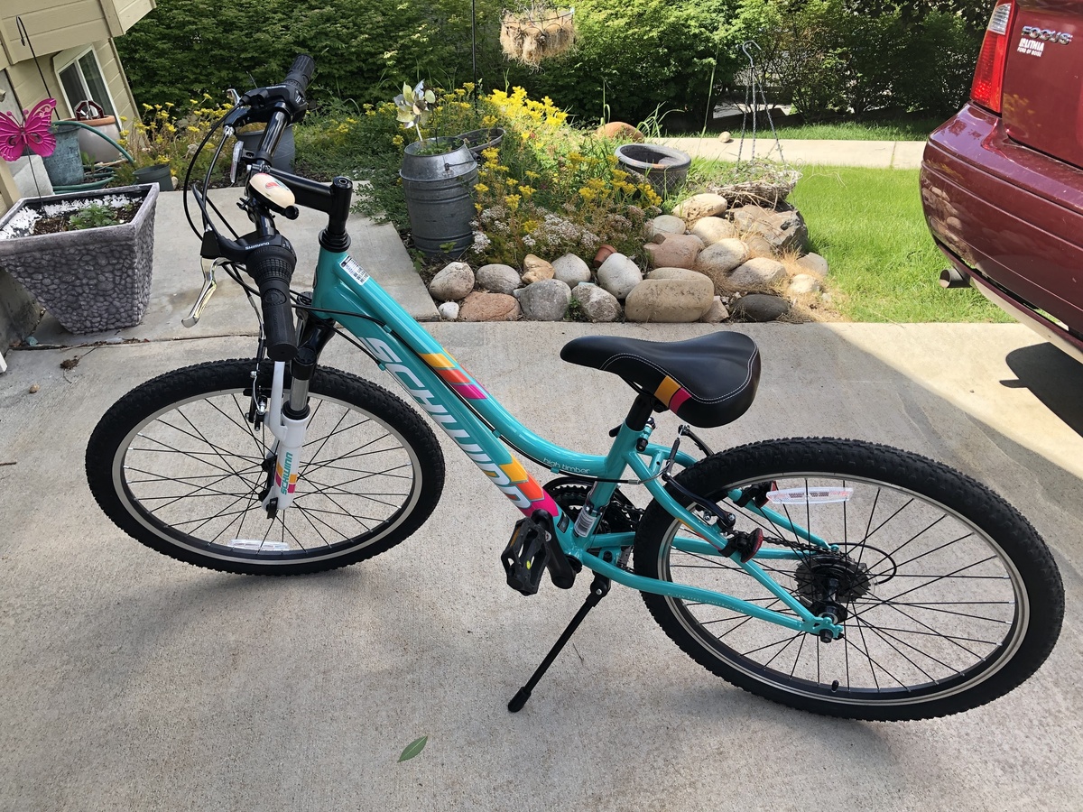 schwinn bikes 2019