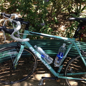 2011 Bianchi Nirone7 - 59"  Green