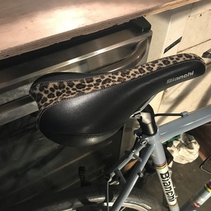 2006 Bianchi San Jose Blue