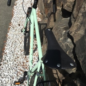 2017 Raleigh Tamland 1 Green and Orange