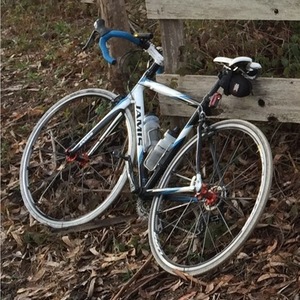 Most recent photo (yesterday!) with current wheels