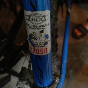 2015 Raleigh Talus 29 Blue