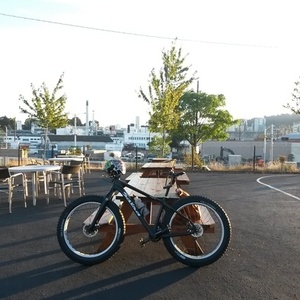 2014 Salsa Beargrease  Black