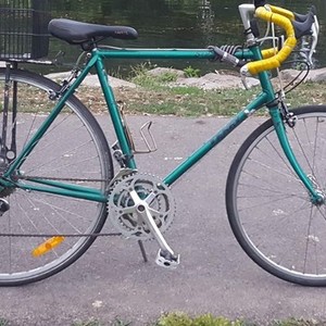 1987 Georgena Terry Road Green