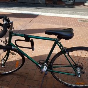 1987 Georgena Terry Road Green