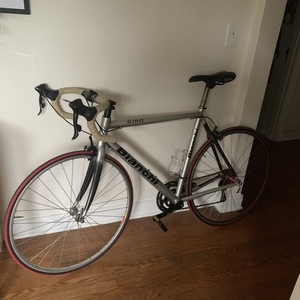 Bianchi Silver, gray or bare metal