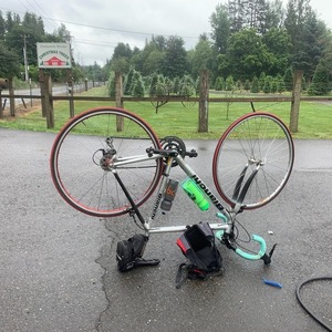 Bianchi Silver, gray or bare metal