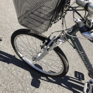 2013 Novara Jaunt Green