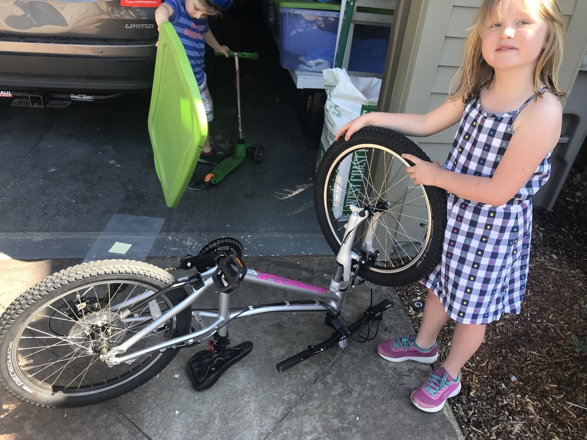 2019 specialized mountain bikes