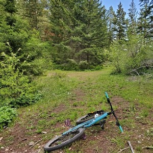 2017 Santa Cruz Bronson Teal