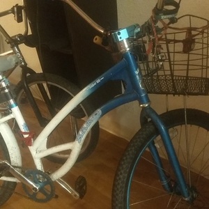 Haro Railer SS Teal and White