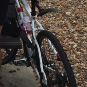 2013 Carrera bicycles AA30915120  White and Silver or Gray