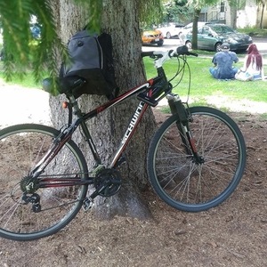 Schwinn Hybrid Black and Red