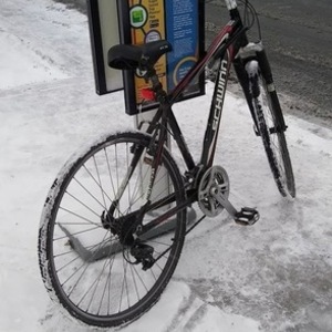 Schwinn Hybrid Black and Red