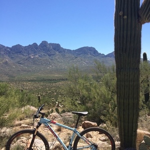 2016 Trek Blue