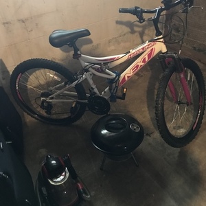 2019 Next Himalaya White and Purple